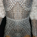 Pearl Armor silver Leotard